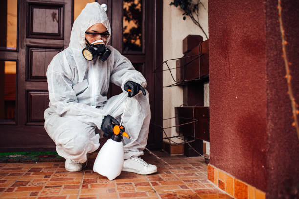 Reliable Bed Bug Control contractor in Maple Valley, WA by Nex Pest Control